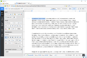 Zoho Docs Writer en BriskBard