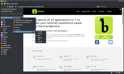 BriskBard automatic browsing settings