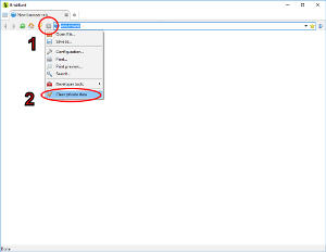 How do I delete the browser history in BriskBard?