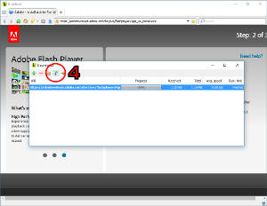 ¿Cómo puedo instalar Adobe Flash Player™ en BriskBard?