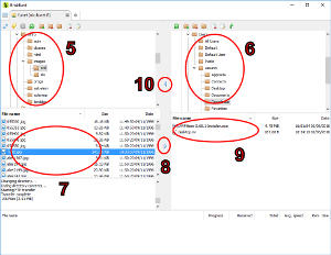 ¿Cuáles son los primeros pasos con el cliente FTP de BriskBard?