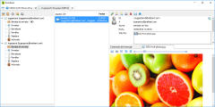 BriskBard's email client