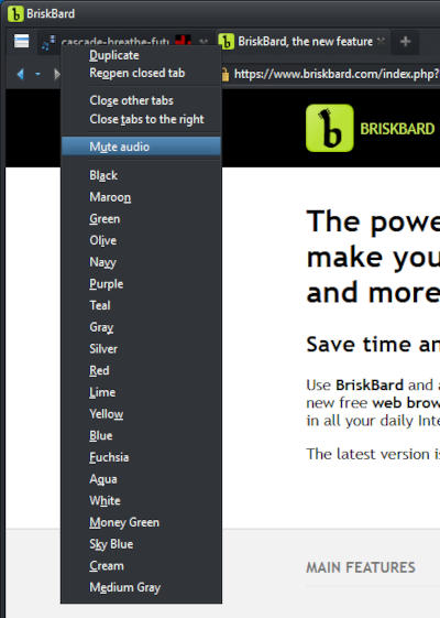 Mute tab in BriskBard