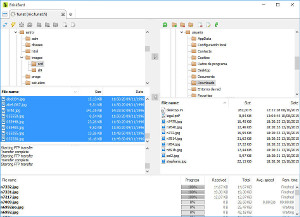 File transfer manager